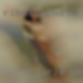 Naked girls Passaic
